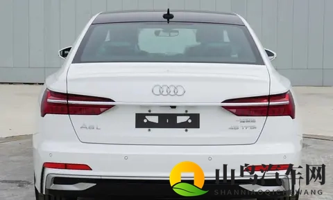 奥迪A6L设计“大变脸”引争议：是大胆革新还是用力过猛？-2