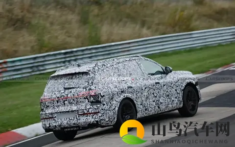 奥迪Q9要来了,剑指奢华这事,大家怎么看-3