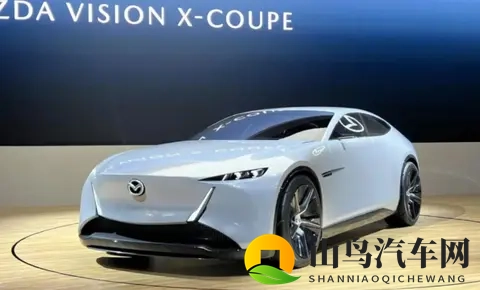 东京车展观察：熟悉又陌生的日系车与单刀赴会的国产力量-1