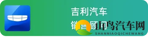 国产燃油车卖得怎么样？5位销售一起聊聊实际情况-1