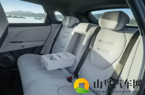 黑人巨大两根挤进一个:革命性设计:汽车空间新突破-3