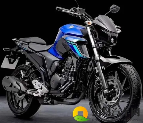 雅马哈飞致250复出 拼的不是马力 是省油能走天下的底气-1