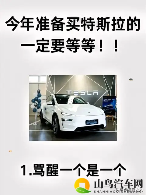 特斯拉车主血泪忠告：5个智商税坑2万，提车用车售后避坑指南-1