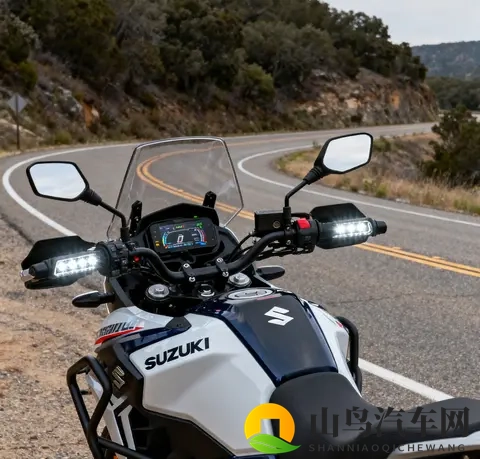 标配VVT TCS 续航500km 2025款铃木DL250升级后依旧能打-3