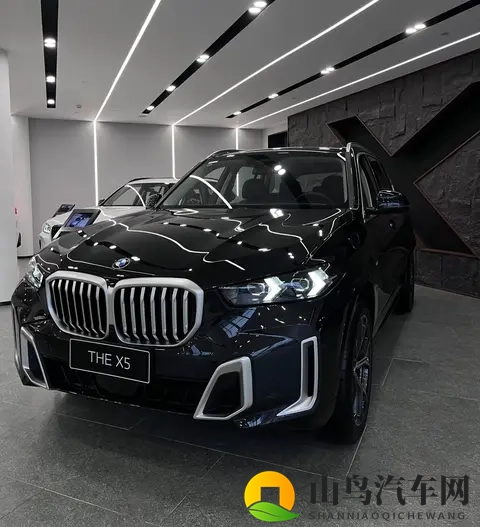 全新宝马X5惊艳亮相，全新设计风格，内饰调整，搭载30T发动机！-2