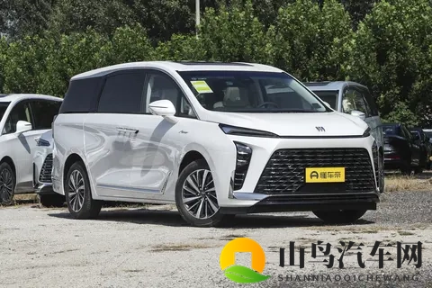 别克GL8:推出5款车型,入门级就有双侧电动门,值得考虑吗?-2