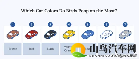 鸟真的会更喜欢在某些款式和颜色的车上拉屎吗?-1