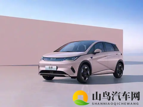 10万预算买纯电车，这五款“销量王”值得一看！-2