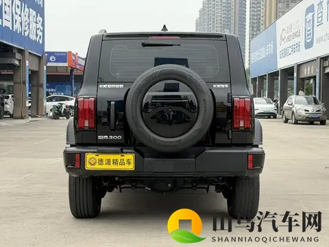 准新坦克300：20T征服者，黑色硬汉风，圆你越野梦-2