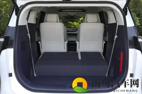 网站国产：国产汽车网站引领潮流，购车新体验！-1