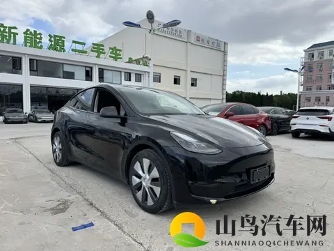 15万拿下特斯拉？4万公里Model Y代步值不值？-2