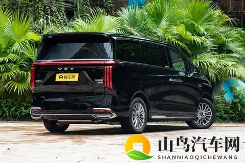 “移动客厅”不只是噱头？带全家出门一趟我就懂了！-3