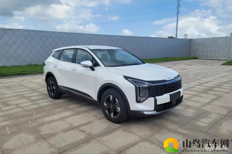 外观调整_2.0T动力提升 新款起亚狮铂拓界广州车展亮相-1