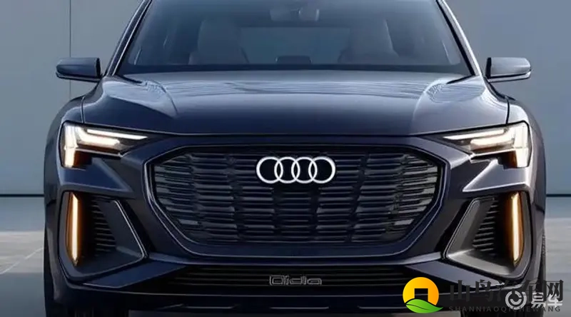 新奥迪Q4纯电SUV，极速百公里，高效能-1