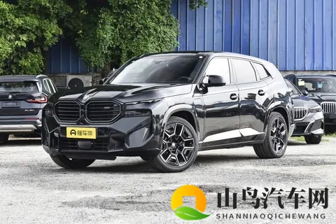 全新宝马X8登场：溜背设计引热议，智能与运动兼备瞄准中产新需求-1