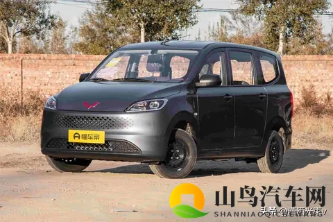 五菱微面要变天,工具车玩出三套动力,谁在悄悄改写乡村出行?-1