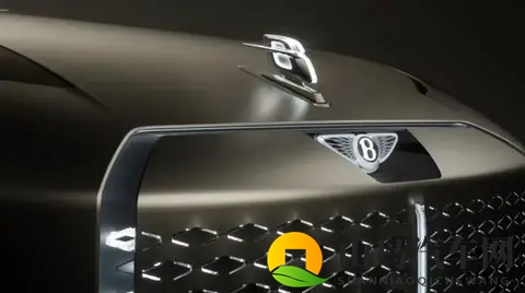 欧美寡妇XXXX黑人猛交游戏：欧美艳妇与黑人狂欢，激情互动游戏盛宴-3