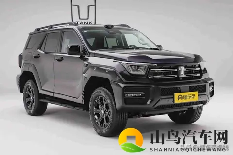 开始玩智能,坦克400改款让人看不懂,用户真需要这么多功能吗?-3