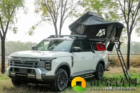 全动力、多版本可选，郑州日产锋坦Frontier Pro预售-3