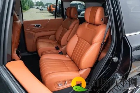 同是“9”字辈新能源SUV，传祺向往S9和深蓝S09，到底谁更胜一筹-1