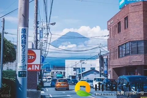 日本不敢大力发展电动车?真相很扎心:核心命脉在中国手里-2