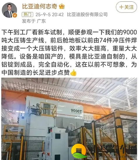 比亚迪2025，技术和市场的双重挑战-1