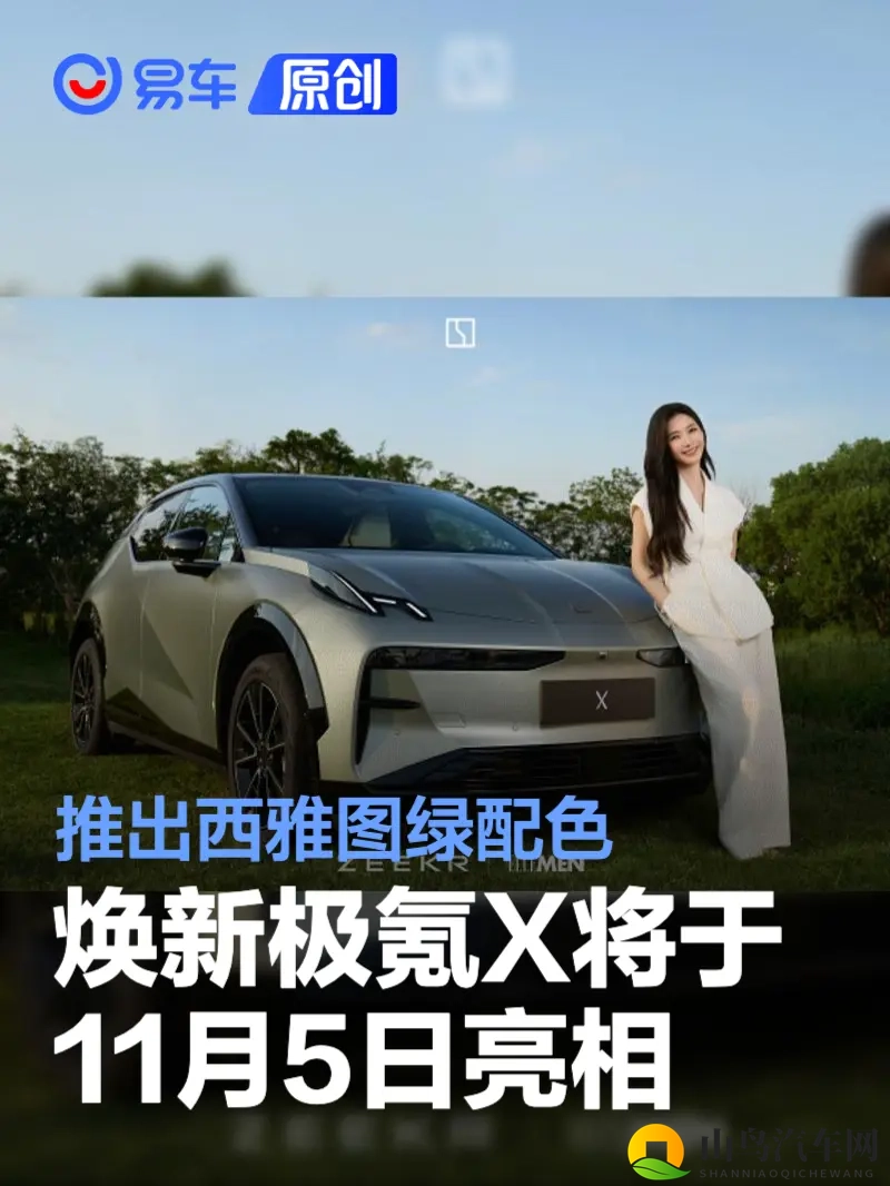 wwwxxx日本：东方智慧重塑电动车产业格局-1