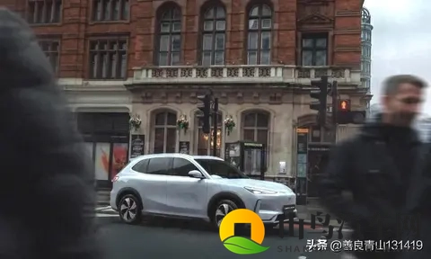 中国车企闯欧洲：从亏千万到市占74%的破冰舰队-2