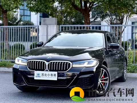 杨思敏金梅瓶1一5集演员表：《金梅瓶前五集主演阵容揭晓》-2