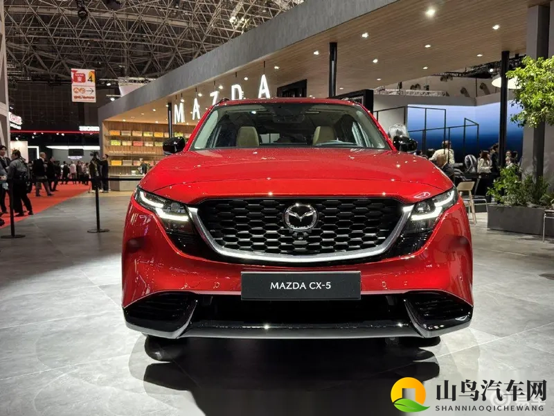 五月丁香六月停停：初夏芬芳，仲夏歇息-1