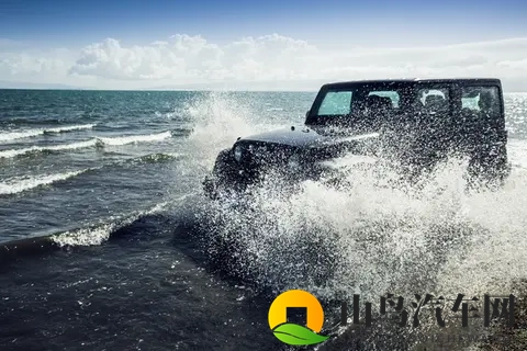 黄色应用app：成人内容软件平台-1