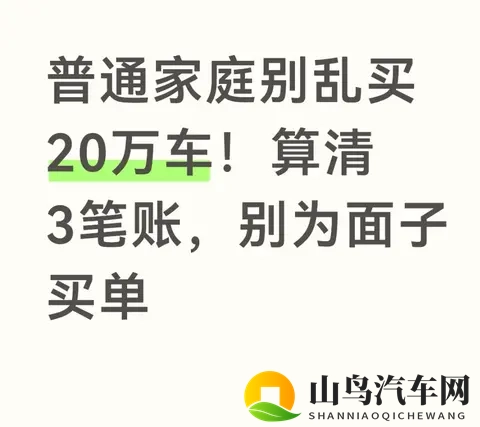 普通家庭别乱买20万车！算清3笔账，别为面子买单-1