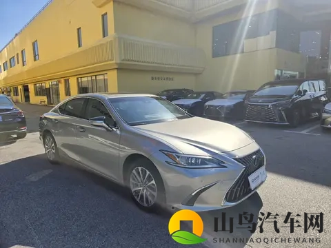 史莱姆大战胡桃：新能源汽车争霸战：史莱姆与胡桃谁更胜一筹？-2