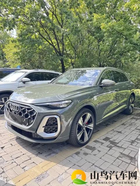 国产Ⅹ丈XX推油按摩BBBB：国内品牌精油护理体验服务-1