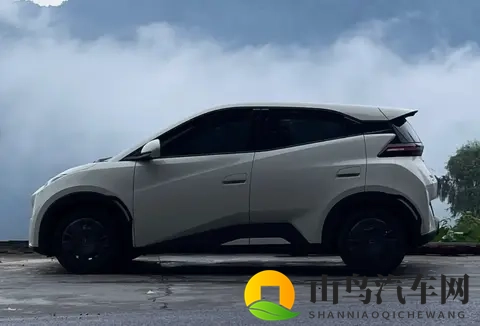 海豚优缺点大实话:买菜接娃超顺手,长途出行就露怯-1