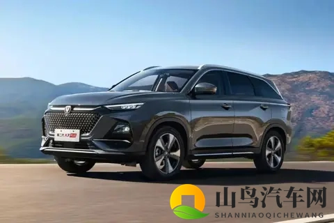 低价七座车盘点,价格不高,配置全面 过年回家全家都有座-3