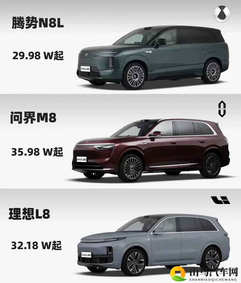 大六座的强强对决，腾势N8L的登场，问界M8慌没慌？-1