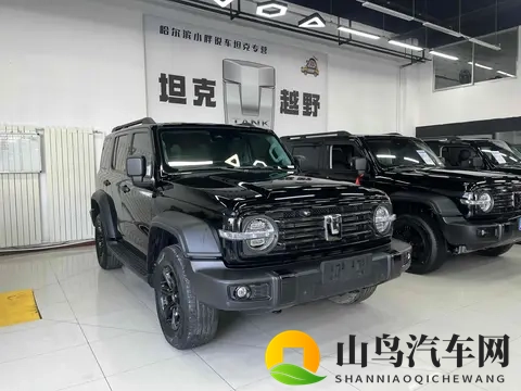 准新坦克300：2万公里，圆你越野梦！-1