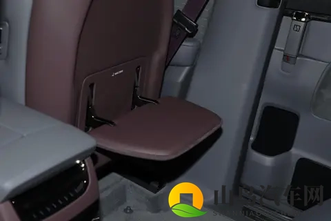 换过3台MPV的过来人，劝你别再犹豫了，现在入手极氪009值-1