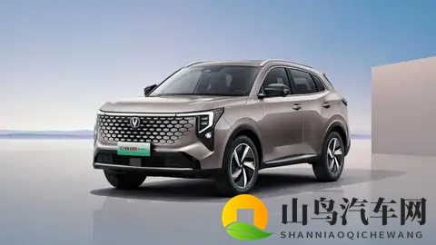 2019年最好看的中文：2019年度最惊艳中文盘点-3