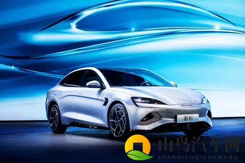 比亚迪红利落幕：技术护城河消失殆尽，谁动了它的蛋糕？-3