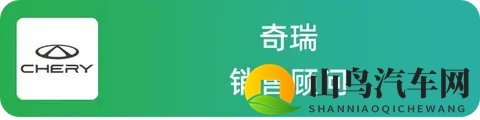 国产燃油车卖得怎么样？5位销售一起聊聊实际情况-3