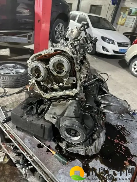 油车才是主宰，电车20年后会消失？车主的真实想法很现实-2