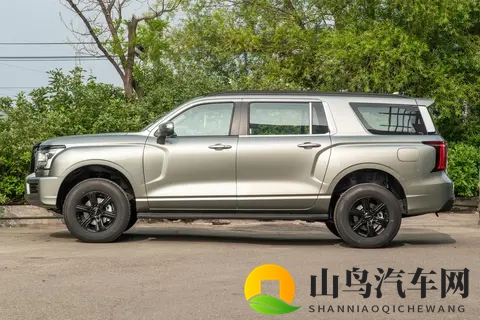 能拉货能越野，价格是坦克300的一半，配20T+8AT，分时四驱-3