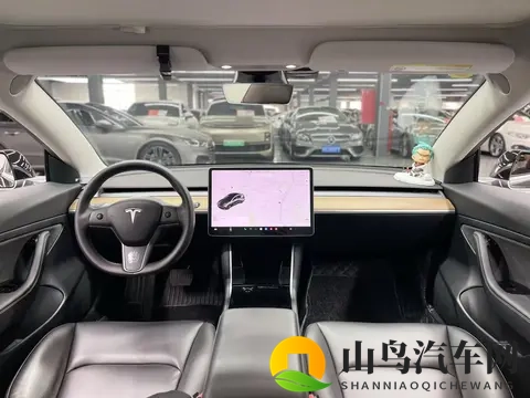 十年老司机之选？10万拿下20款特斯拉Model3，代步真香！-3