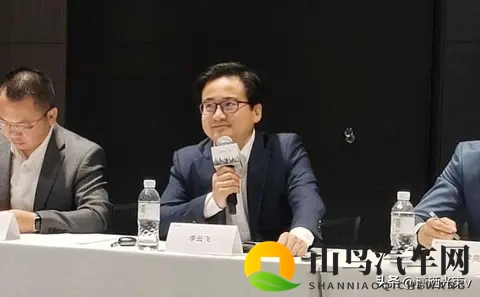 安全被忽视，磷酸铁锂逆袭，比亚迪赌对了-1