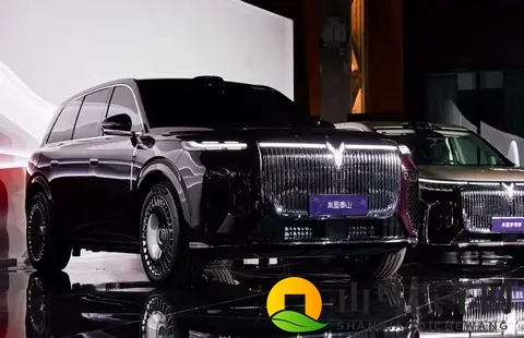 杨玉环三港版1995年：经典再现：揭秘90年代热销车型传奇魅力-3