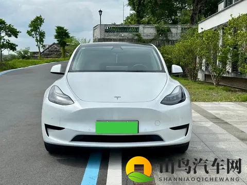 15万多拿下特斯拉Model Y，通勤代步不二之选？-3