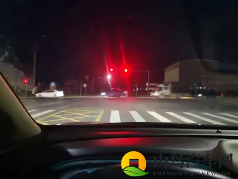 等绿灯有必要挂N挡吗？吃过亏的司机都这样做，安全又不伤车！-1