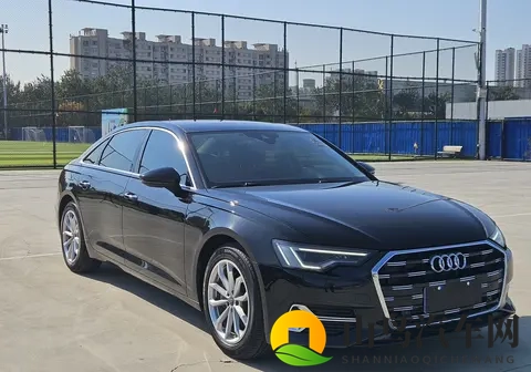 19款奥迪A6L：不到20万，宜商宜家豪华座驾-1